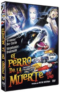 Play Dead |   DVD